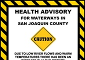 Blue-Green Algae Blooms Spotted in San Joaquin County Waterways