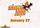 Stunt Dog Experience 