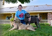 Shelter/Free Roaming Animal Bill of Rights for Stockton California