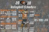 Volleyball Announces 2018 Schedule