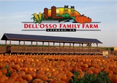 Pumpkin Maze at Dell’Osso Family Farm