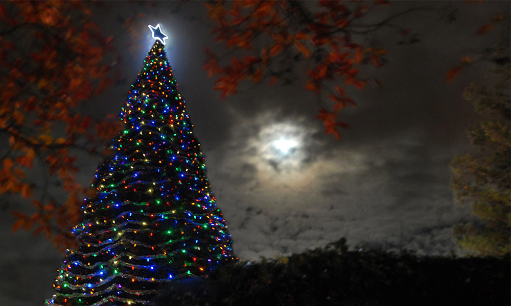 'Tree of Lights' tradition marks 30 years
