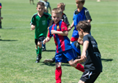 Summer Fun with the Tigers: Men's & Women's Youth Soccer Summer Camps