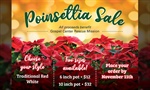 Gospel Center Rescue Mission to benefit from Poinsettia Sale