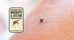 First West Nile Virus-Positive Mosquitoes of 2025 Found in San Joaquin County
