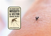 First West Nile Virus-Positive Mosquitoes of 2025 Found in San Joaquin County
