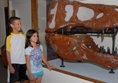Delta Donates Fossils and Earth's Crust Mural to Lodi's WOW Museum!