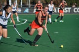 #24 Tigers Wrap Up Regular Season On Road