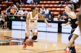 Tigers Knocked Off By Northern Colorado