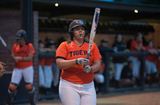 Tigers Fall to Weber State, Sneak Past GCU