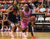 #7 Tigers Fall in Semifinals to #6 Toreros