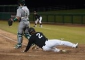 Tigers Welcome Wolfpack to Klein Family Field