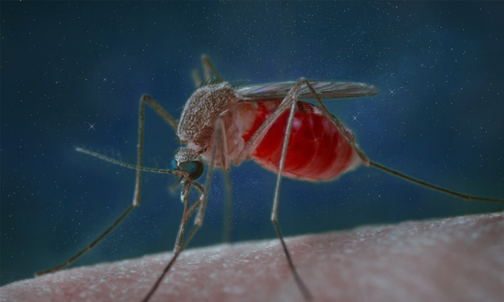 Protect Yourself From Mosquito Bites During National Night Out