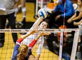 Tigers Swept By Gaels