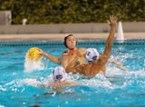 Tigers Fall To Top Ranked Trojans