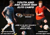 Tigers announce summer youth camps