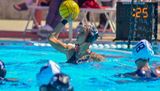 Tigers Fall In Heartbreaker With Michigan