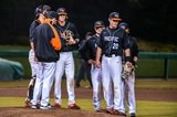 Tigers host UC Davis on Tuesday