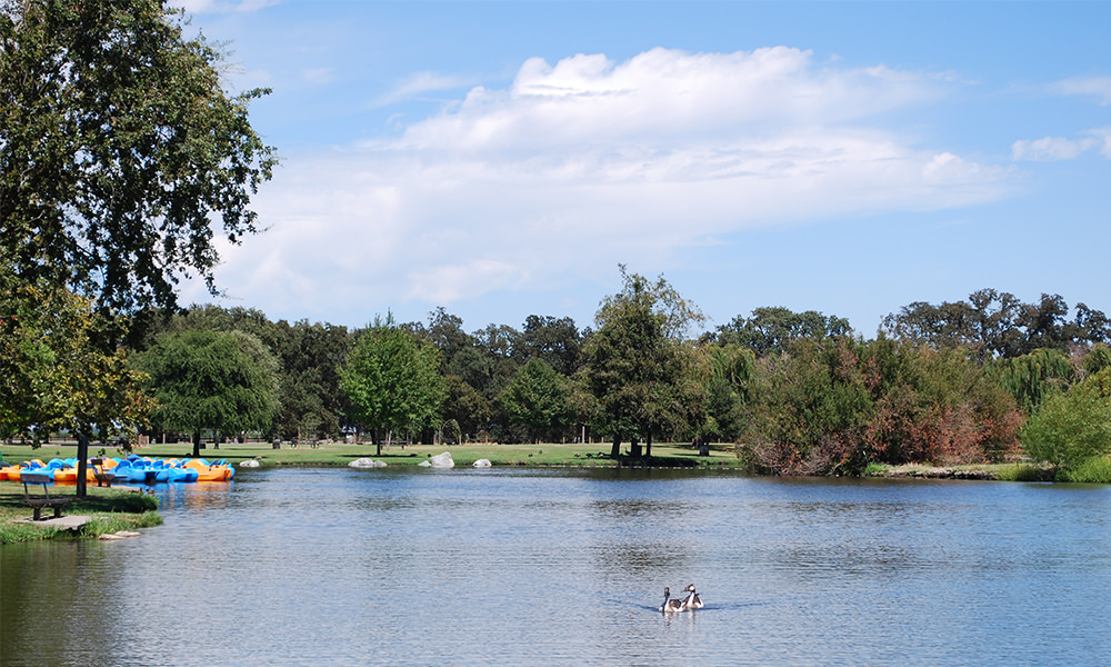 35th Annual Trout Bout set for Saturday, November 16