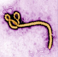 San Joaquin County Public Health System Public Health Preparedness for Ebola
