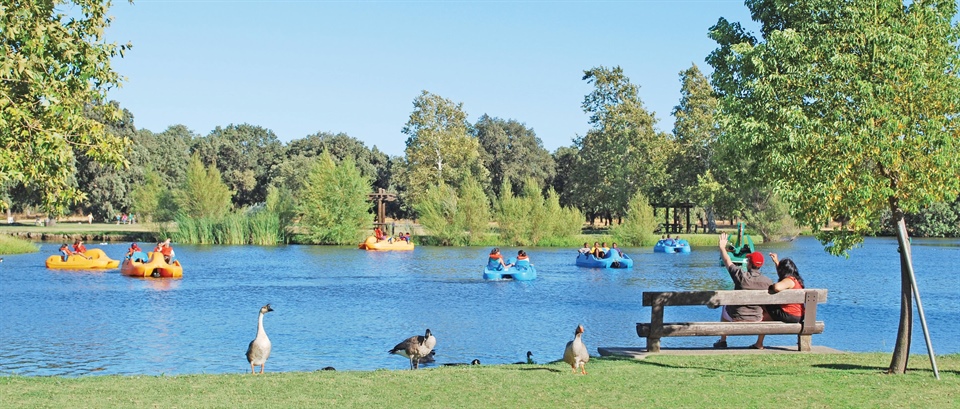 Catfish Derby Set For This Saturday, June 7