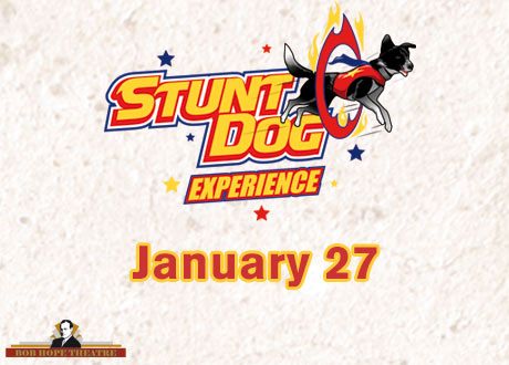 Stunt Dog Experience 