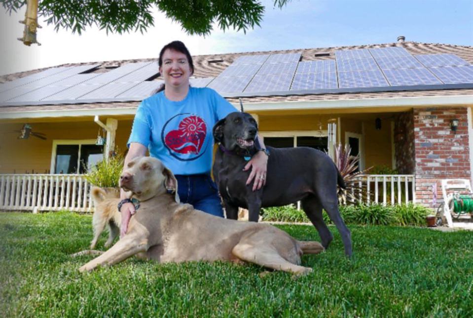 Shelter/Free Roaming Animal Bill of Rights for Stockton California